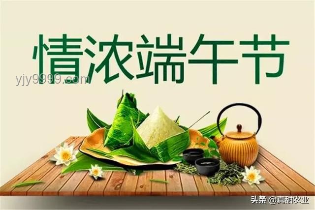 端午补阳新风尚：4种“暖阳菜”助力儿童健康成长，营养满满！